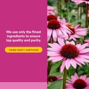 natural-factors---echinamide-echinacea-f-5.jpg