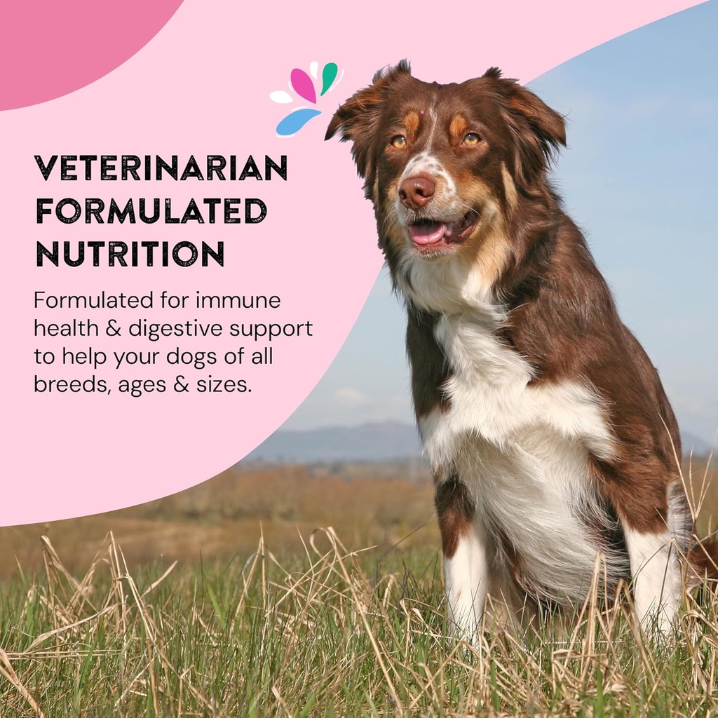 daily-wellness-supplements-for-dogs-prob-5.jpg