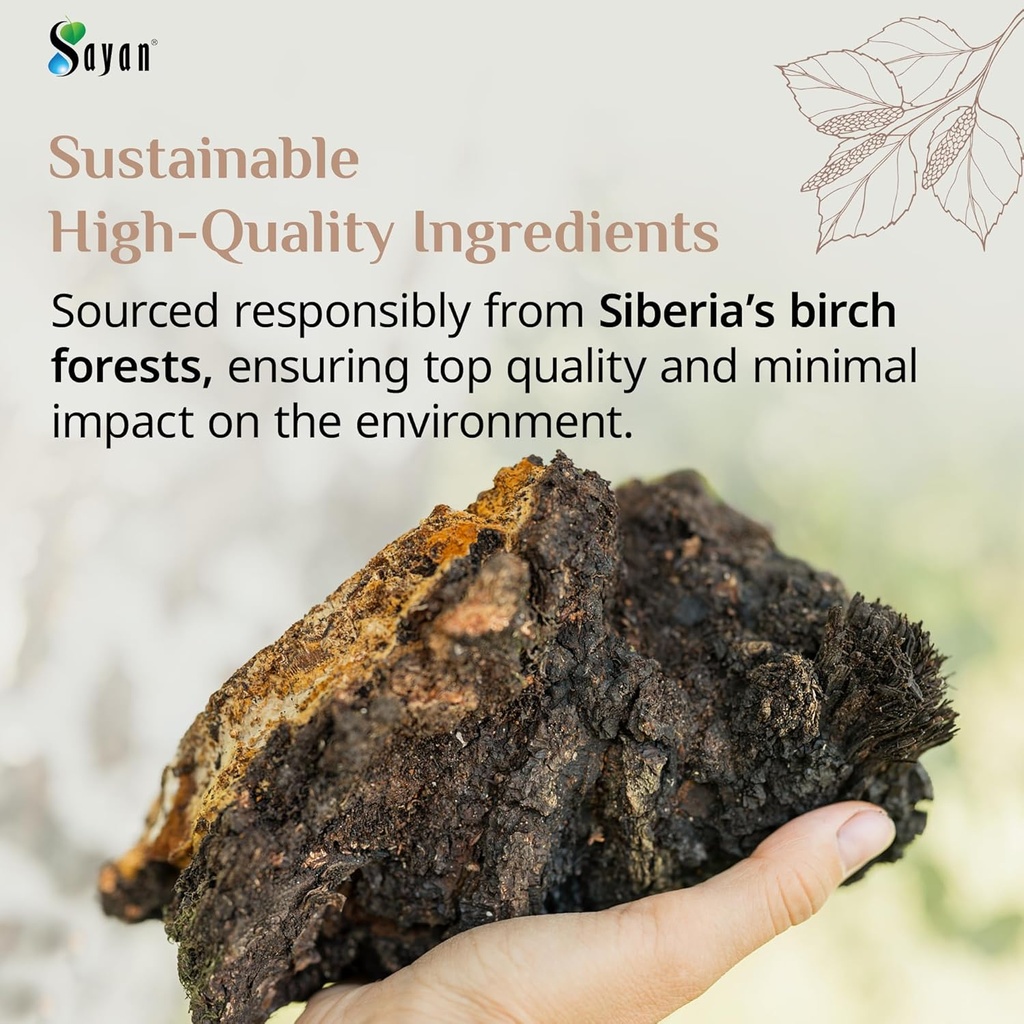 sayan-chaga-mushroom-extract-powder-22-l-5.jpg