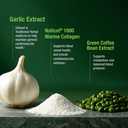 bell-healthy-blood-pressure-supportTM-un-4.jpg