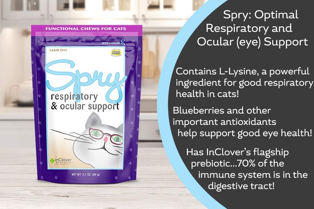 in-clover-spry-cat-eye-care-support-l-ly-4.jpg