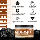 shilajit-pure-himalayan-organic-resin----5.jpg