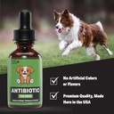 natural-dog-antibiotics---antibiotics-fo-4.jpg