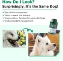 drby-eyes-care-plus-dog-tear-stain-suppl-2.jpg