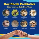 probiotics-for-dogs---6-billion-cfus-dog-6.jpg