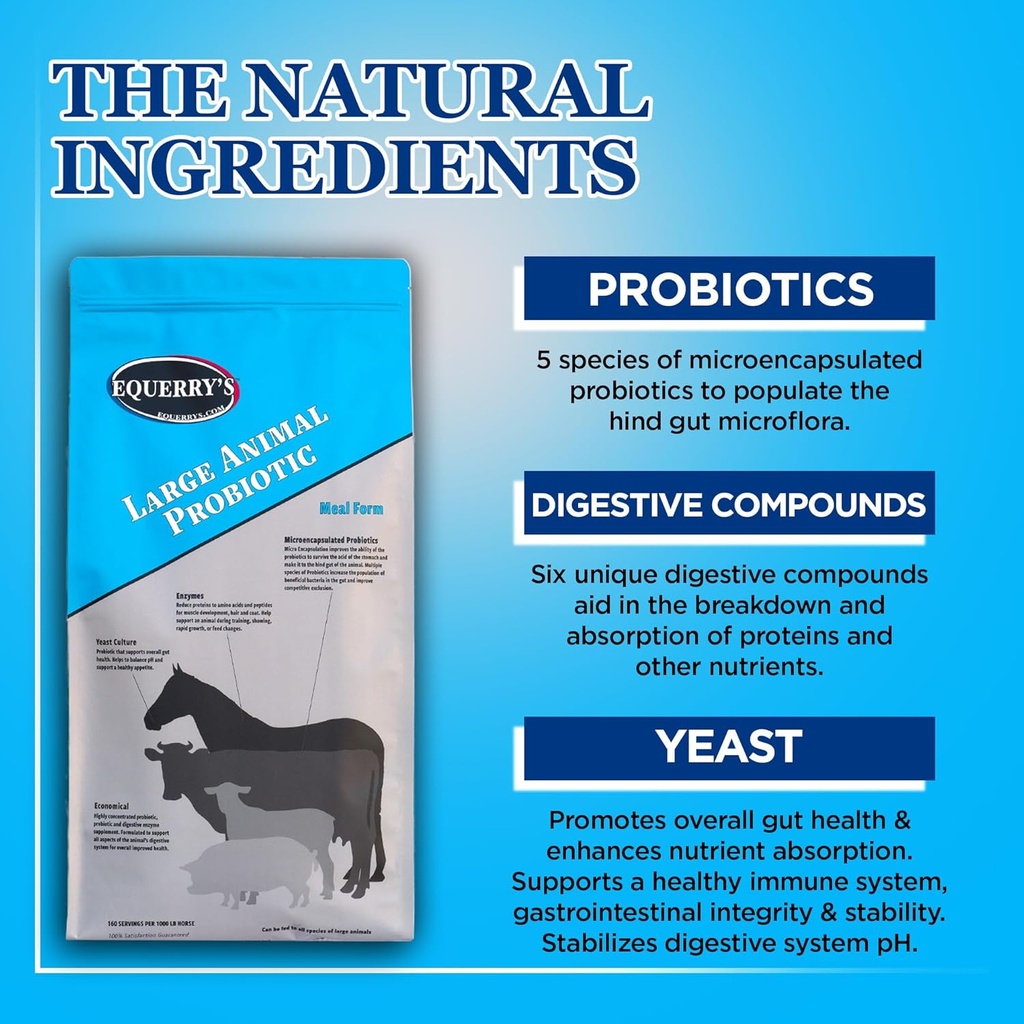 equerrys-large-animal-probiotic-suppleme-4.jpg