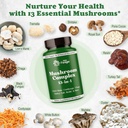 mushroom-complex-capsules-13-in-1-mushro-4.jpg