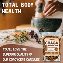 xprs-nutra-chaga-mushroom-capsules---pre-3.jpg