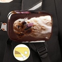 golden-retriever-dog-pill-case-weekly-me-5.jpg