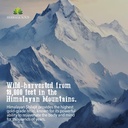 shilajit-for-men-8-in-1-adaptogenic-supp-4.jpg