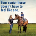 absorbine-bute-less-comfort-recovery-sup-6.jpg