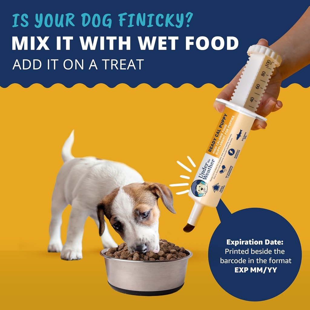 under-the-weather-pet-ready-cal-for-pupp-6.jpg