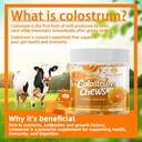 colostrum-chews-supplement-with-probioti-2.jpg