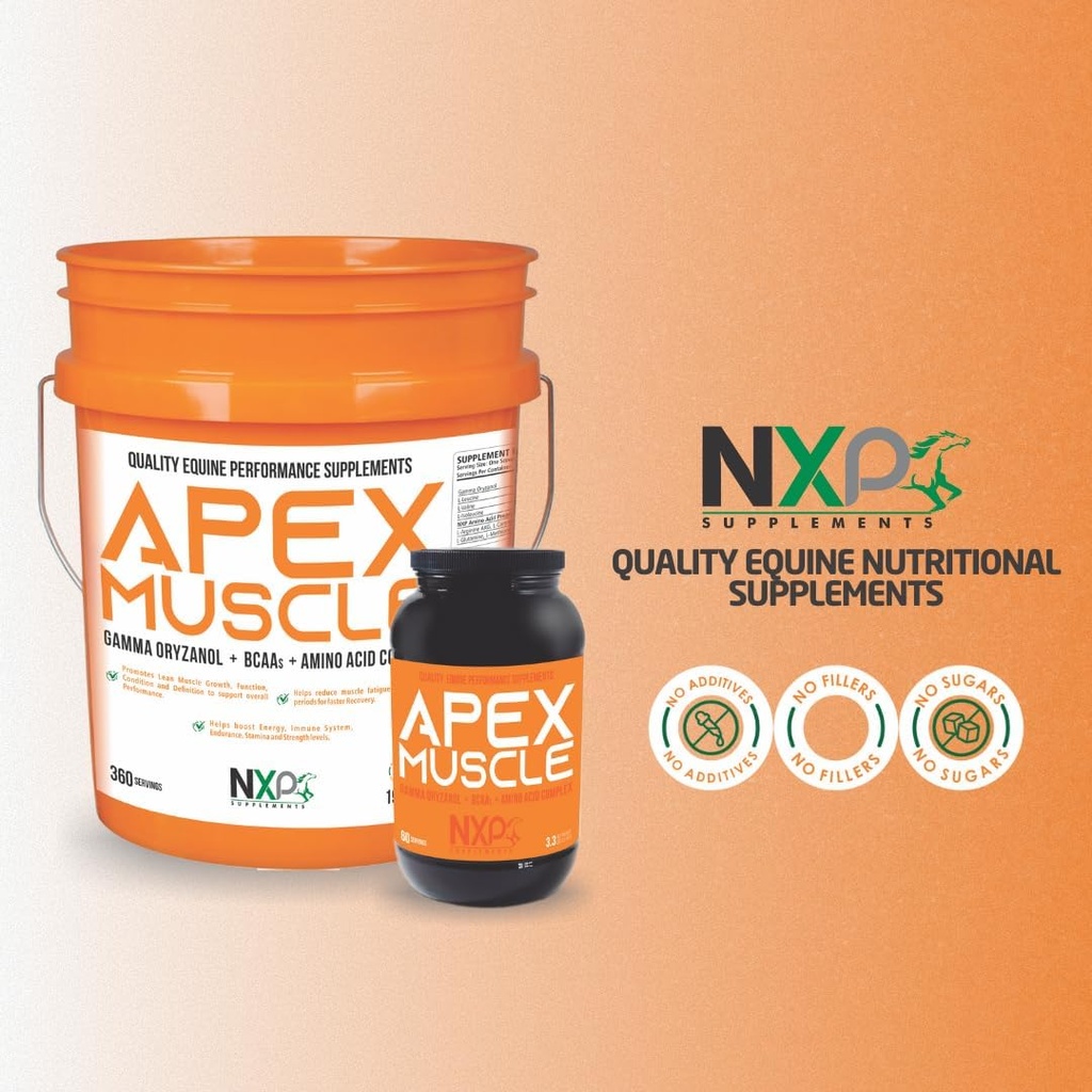apex-muscle-body-strength-builder-for-ho-4.jpg
