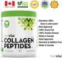 plantvital-pure-collagen-peptides-powder-3.jpg