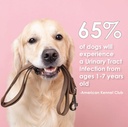 urinary-tract-health-soft-chews-for-dogs-3.jpg
