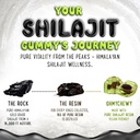 pure-himalayan-shilajit-gummies---high-p-5.jpg