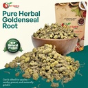ny-spice-shop-goldenseal-root-herb-cut-s-2.jpg