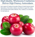 rx-vitamins-cranberry-pills-for-dogs---c-4.jpg