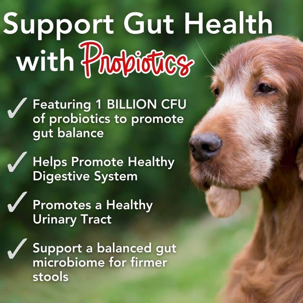 iheartdogs-24-in-1-senior-multivitamin-d-2.jpg