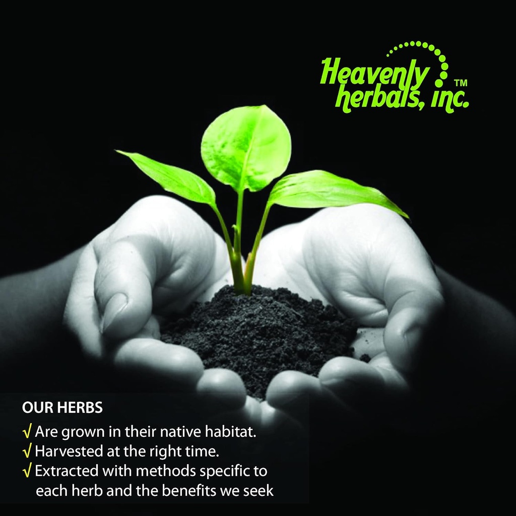 heavenly-herbals-inc-carduus-marianus-q--3.jpg