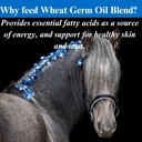su-per-wheat-germ-oil-blend-for-horses---3.jpg