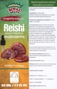 reishi-mushroom-supplementour-reishi-mus-3.jpg