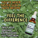the-oregano-company--oil-of-oregano-1-fl-2.jpg