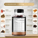 mushroom-gummies-10-mushroom-supplement--2.jpg