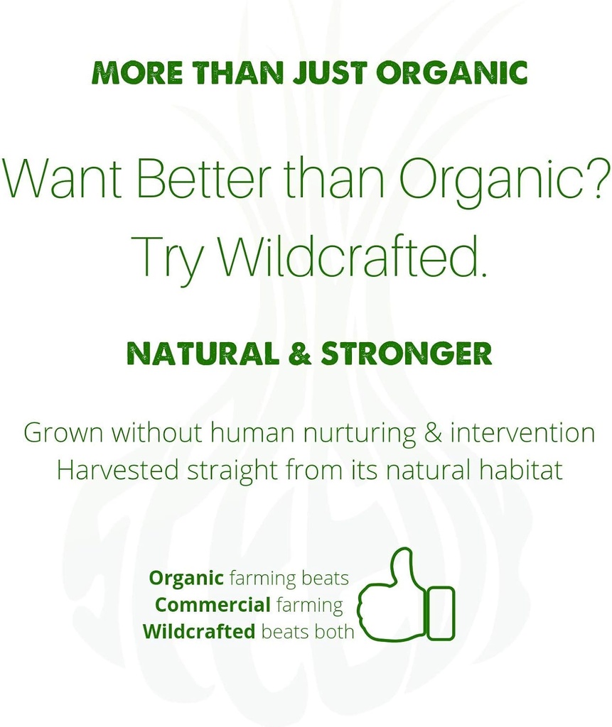 natural-blood-cleanser-organic-supplemen-6.jpg