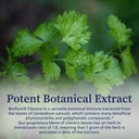 biopure-cilantro-herbal-tincture-potent--5.jpg