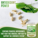 xprs-nutra-organic-ginkgo-biloba-powder--3.jpg