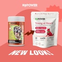 k9-power-young-at-heart-senior-dog-multi-2.jpg