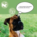animaux-nutrients-365-for-dogs-all-natur-6.jpg