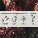 forage-hyperfoods--original-canadian-wil-6.jpg