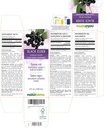 naturalma-black-elder-sambucus-nigra-flo-2.jpg