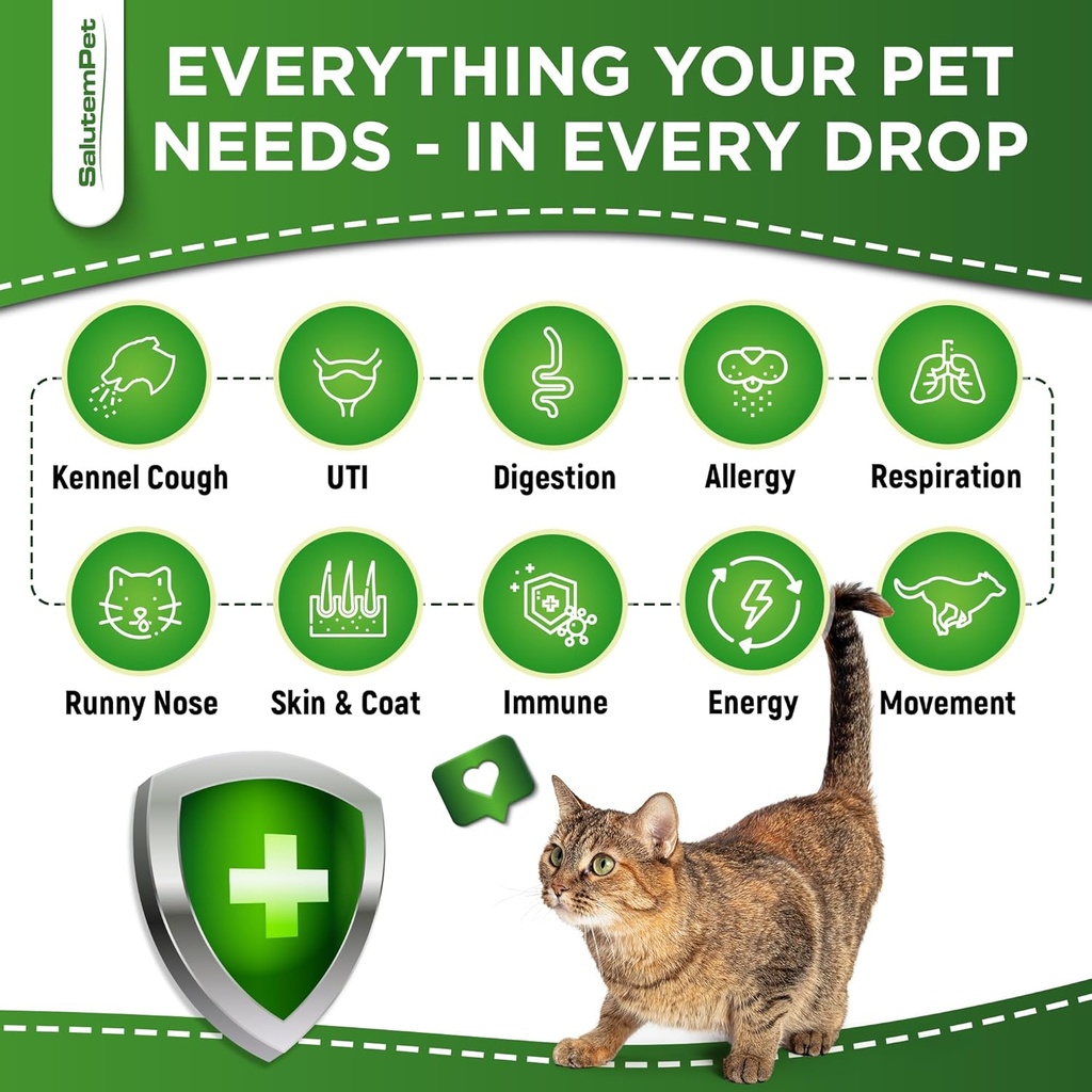 dog-antibiotics-forte-health-antibiotics-3.jpg