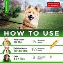 dog-antibiotics-forte-health-antibiotics-5.jpg