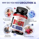 urolithin-a-supplement-1000-mg-plus-tran-2.jpg