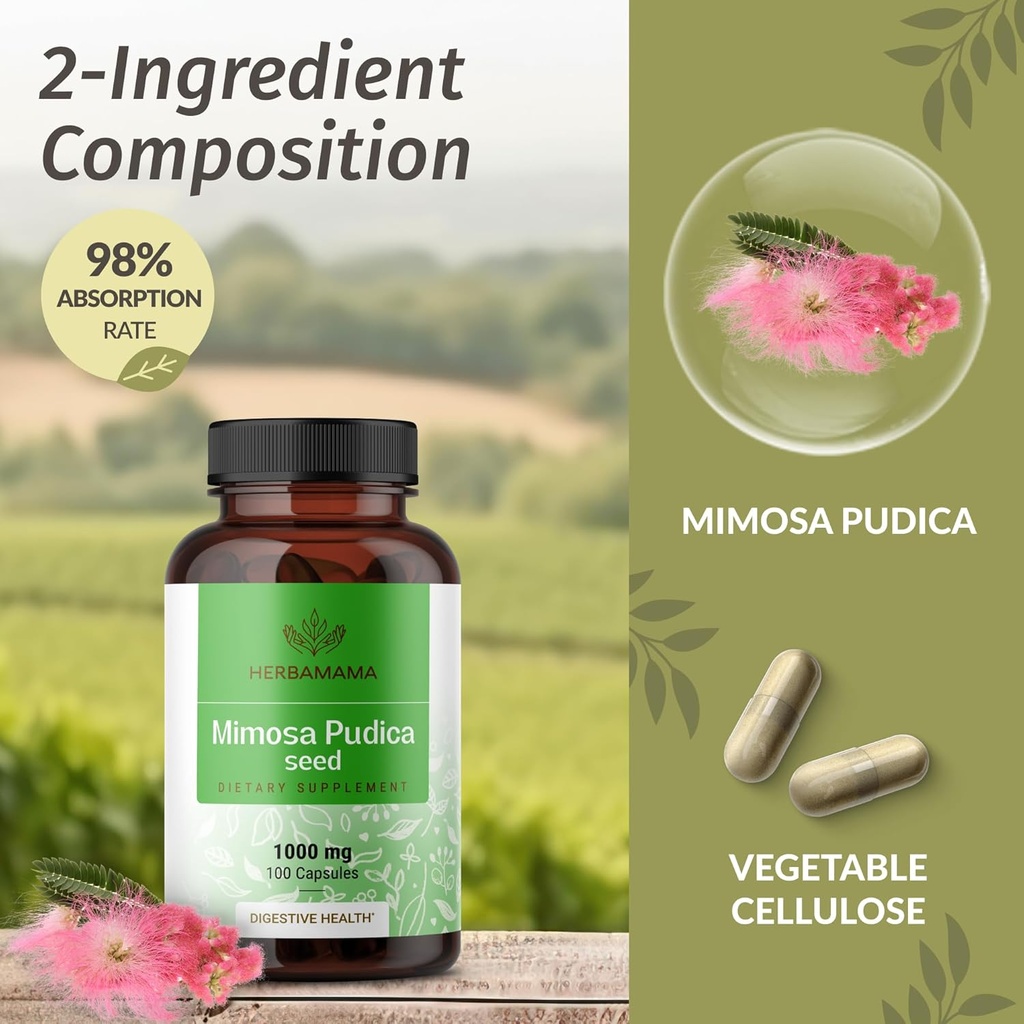 herbamama-mimosa-pudica-seed-capsules----4.jpg