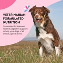 hip-joint-supplements-for-dogs-helps-joi-6.jpg