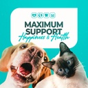probiotics-for-dogs-and-cats-17-bacteria-6.jpg