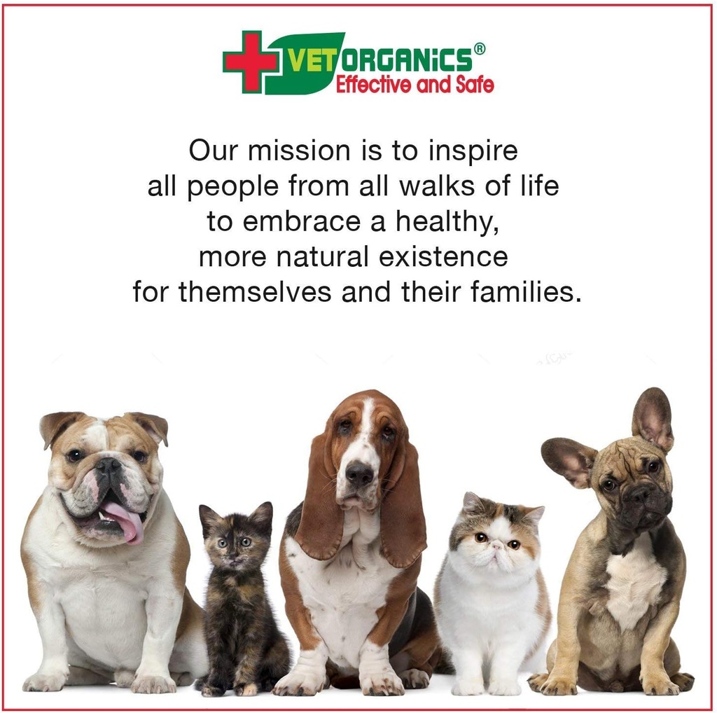 immune-system-support-supplement-for-dog-4.jpg
