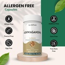 ashwagandha-capsules-500mg-withania-somn-6.jpg