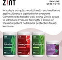 zint-acai-powder-organic-raw-freeze-drie-6.jpg
