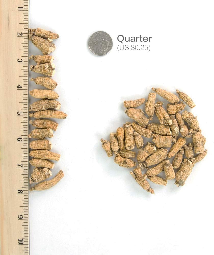 hsus-ginseng-sku-115-2-short-small-2-cul-2.jpg