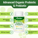 probiotics-for-women-men--300-billion-cf-3.jpg