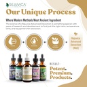 rejuvica-health-active-maca---advanced-m-4.jpg