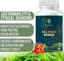 sea-moss-gummies-immune-strength-skin-he-3.jpg