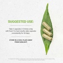secrets-of-the-tribe-birch-120-capsules--2.jpg